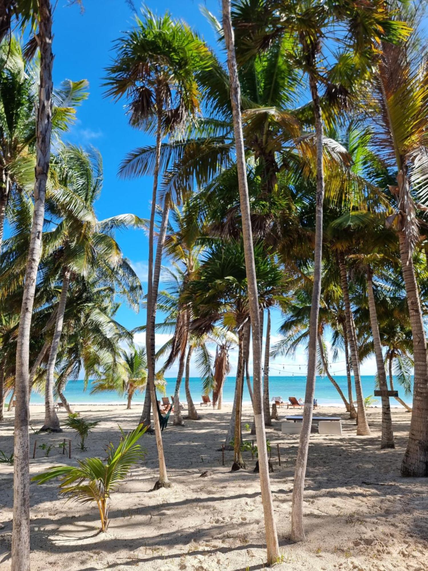 Hotel Cielo Y Selva Punta Allen Exterior photo